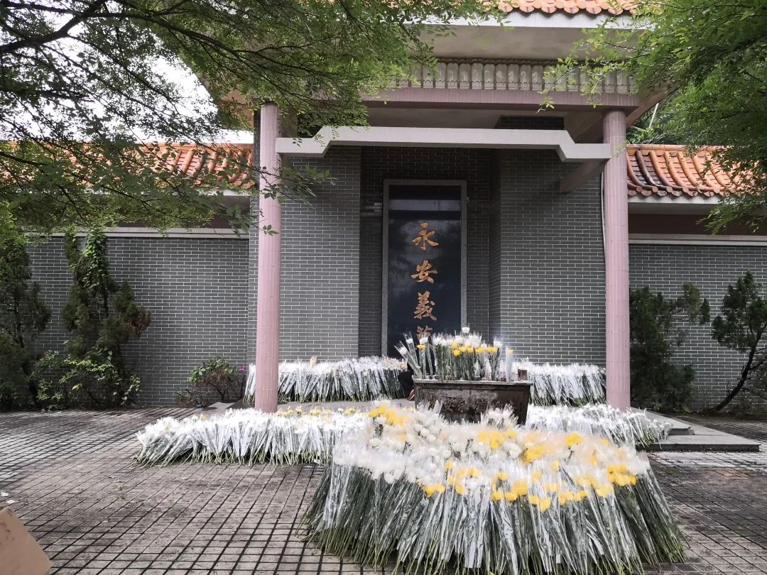 清明节暂停了现场祭扫服务怎么办？别担心，杏坛慈善会帮到你！