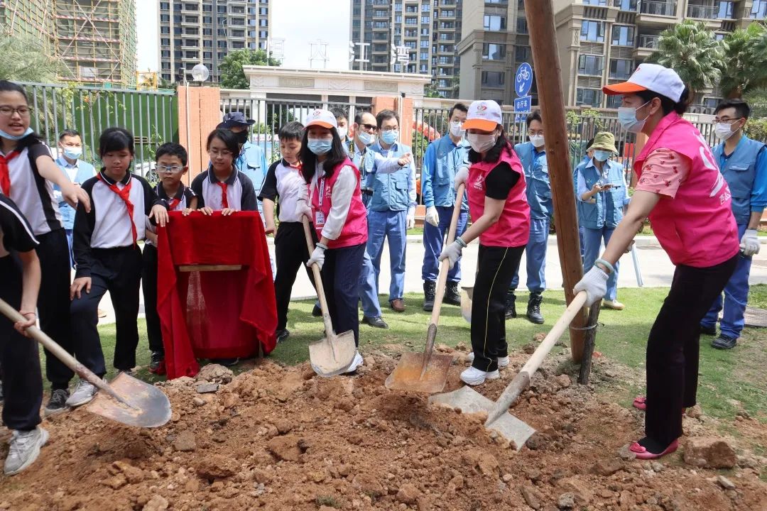 种下一棵树苗，收获一个“希望”